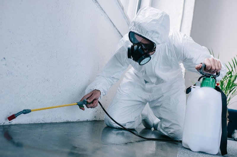 How to Get Rid of Pests