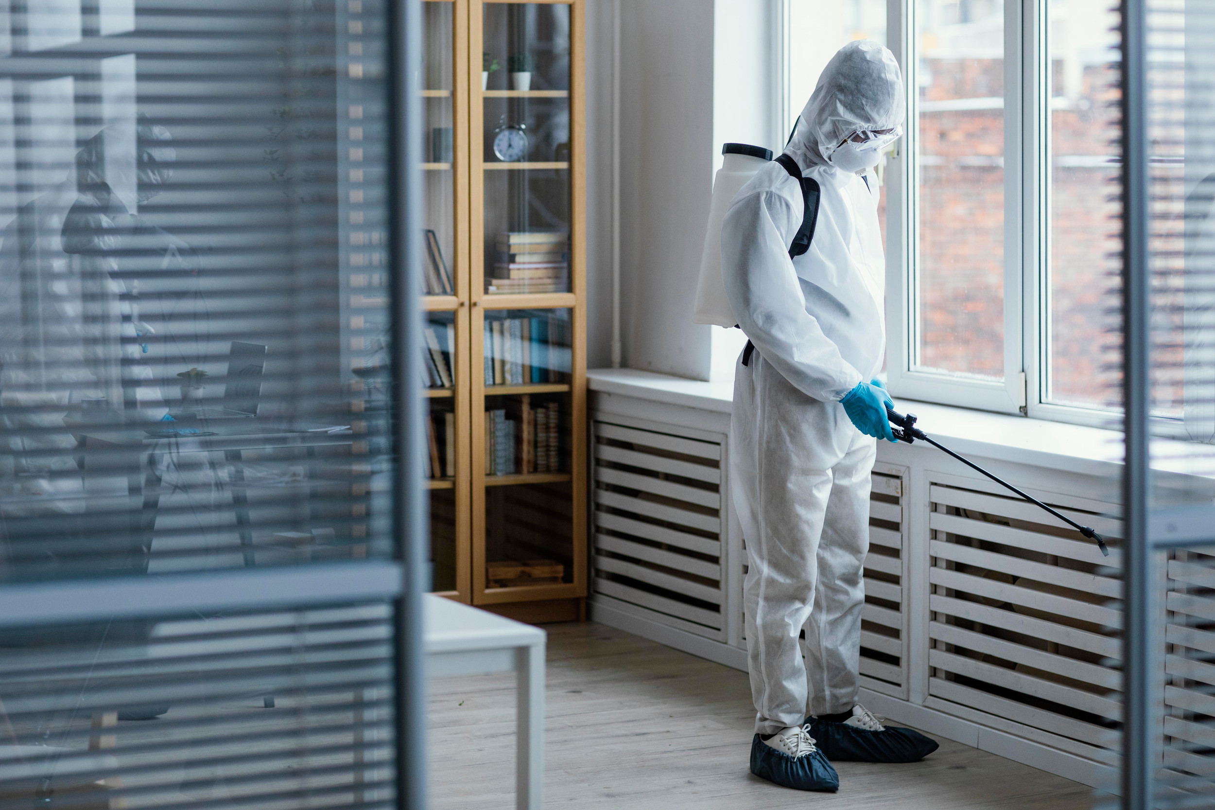 Importance of Pest Control in Your Home or Business