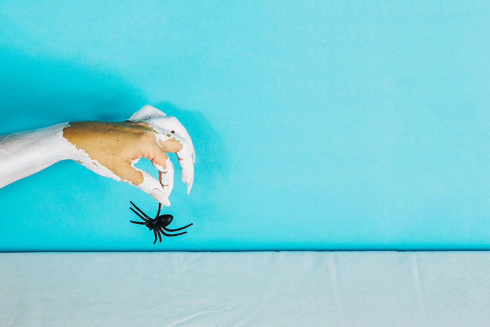 Signs of Hidden Pests in Coolidge