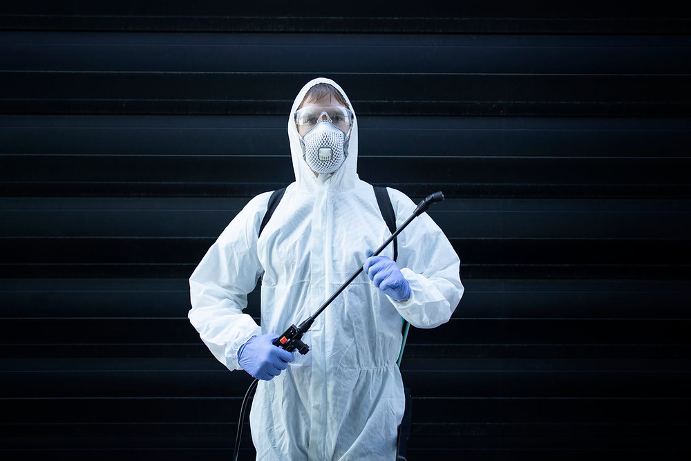 How to Choose the Right Pest Control Company