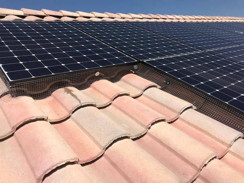 🐦 Pigeon-Proofing Your Solar Panels: Why It’s a Must in Arizona