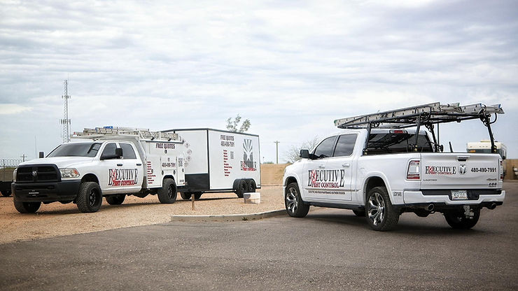 Commercial pest control for a Coolidge, Arizona business