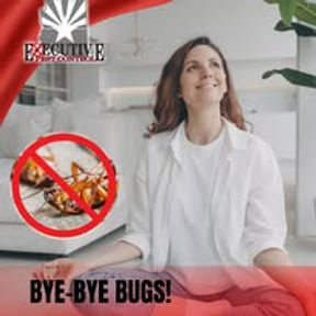 How Often Should You Spray for Bugs in Arizona?