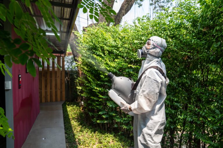 Safe and Eco-Friendly Pesticide Use for Coolidge Homeowners