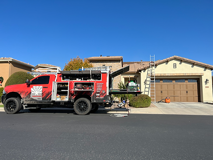 Executive Pest Control bird control service